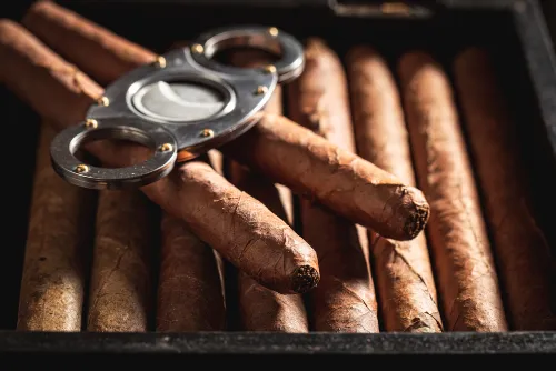 Everything you need to know about cigars