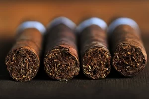 How to choose the perfect robusto cigar