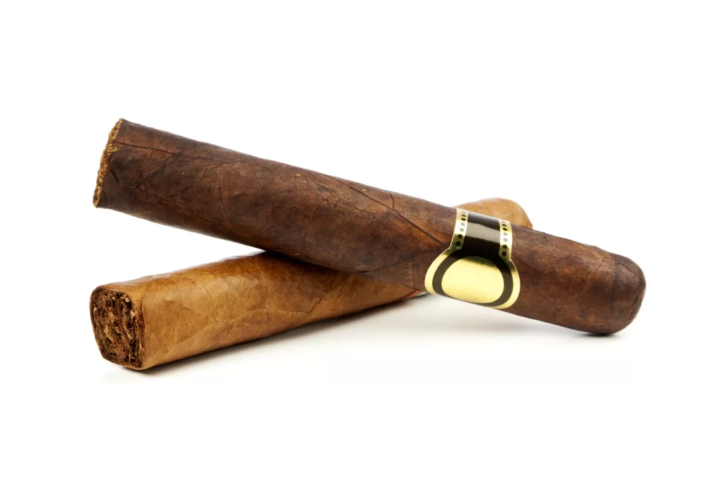 What is a robusto cigar