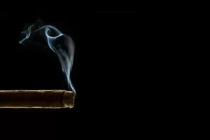 faq cigars vs cigarettes